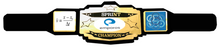Load image into Gallery viewer, PERSONALIZED CUSTOM MADE BELTS