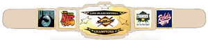 PERSONALIZED CUSTOM MADE BELTS