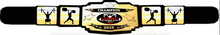 Load image into Gallery viewer, Custom Personalized Black Belt